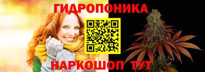 спайс Донской
