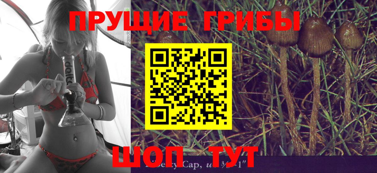 Галлюциногенные грибы MAGIC MUSHROOMS Мариинск
