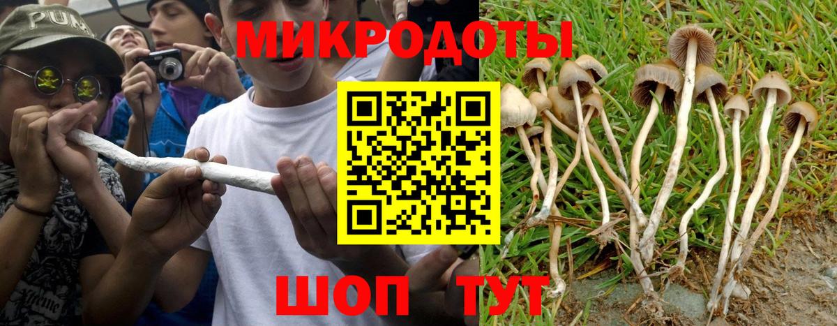 Мариинск  Псилоцибиновые грибы GOLDEN TEACHER  Вход с VPN  Псилоцибиновые грибы Cubensis 